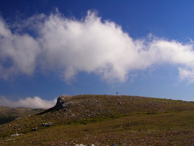 Tontorra