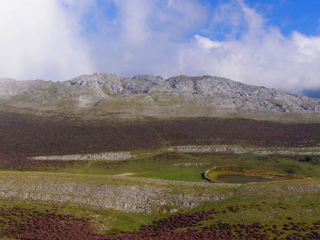 Eskalaborro