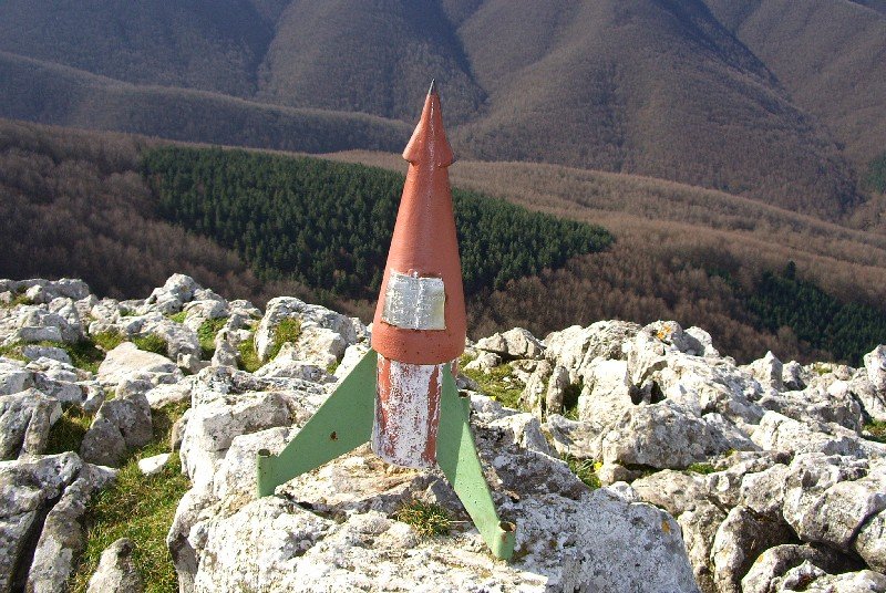 Buzoia