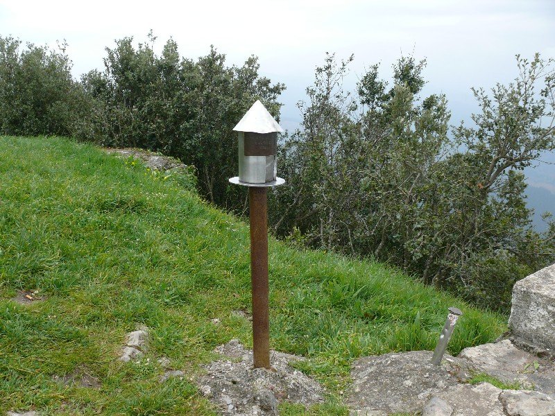 Buzoia