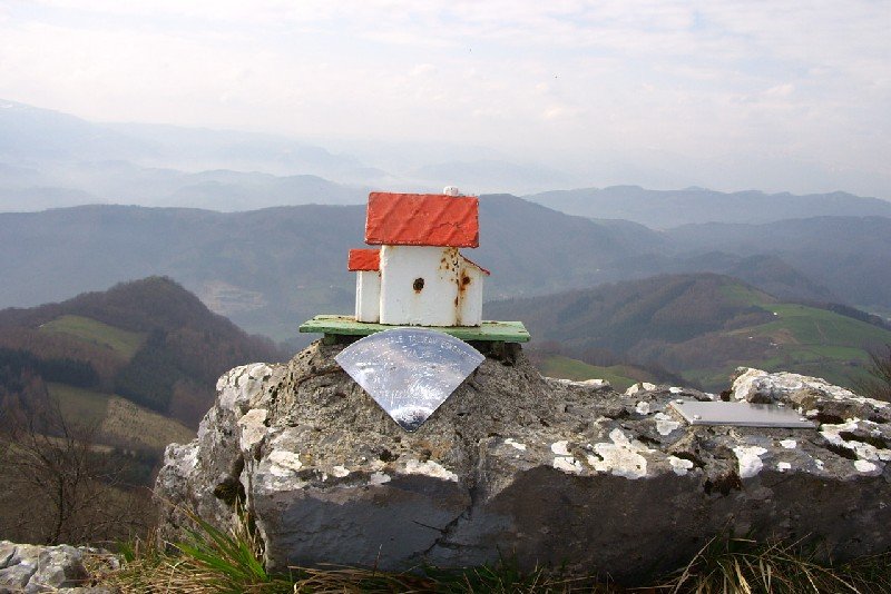 Buzoia