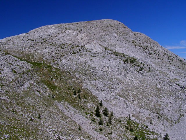 Tontorra