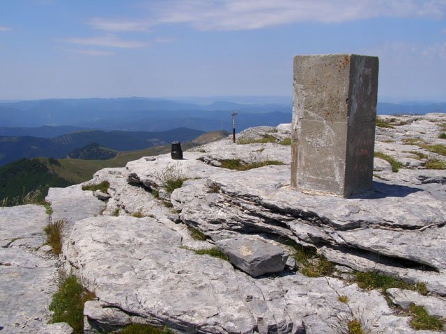 Gailurra