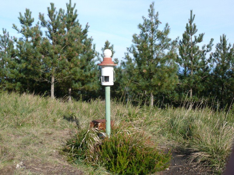 Buzoia
