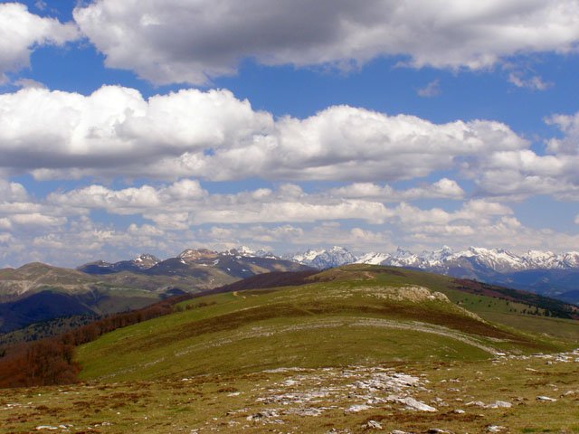 Abodiko mendilorrea