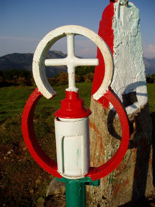 Buzoia