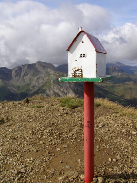 Buzoia