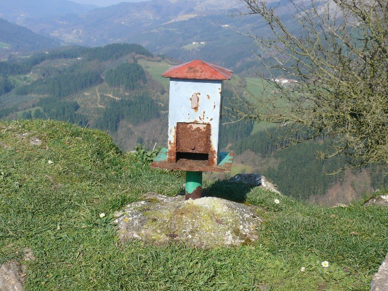 Buzoia