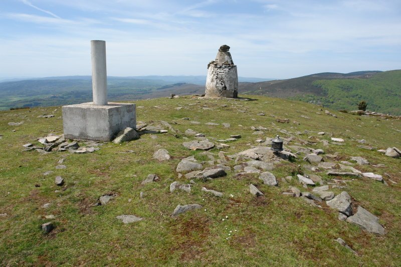 Tontorra