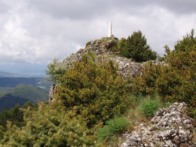 Gailurra
