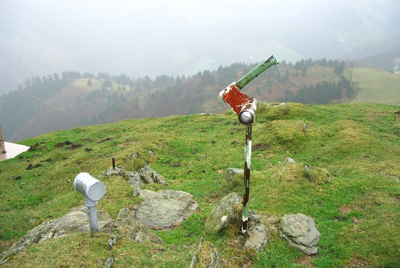 Buzoia