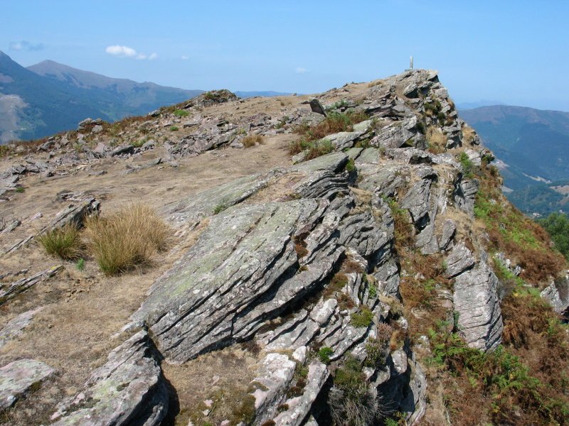 Tontorra ekialdetik