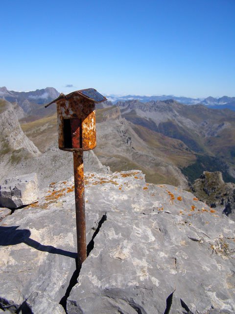 Buzoia