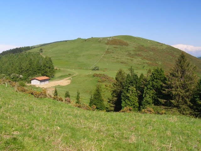 Oleta