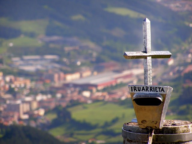 Buzoia