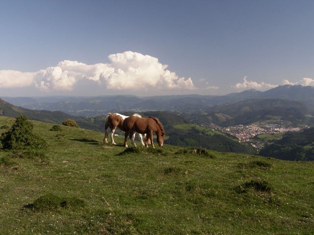 Samiño
