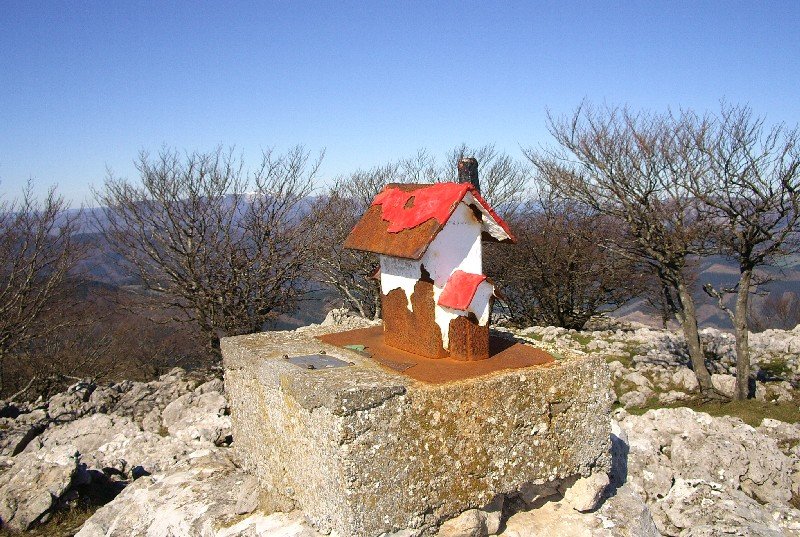 Buzoia