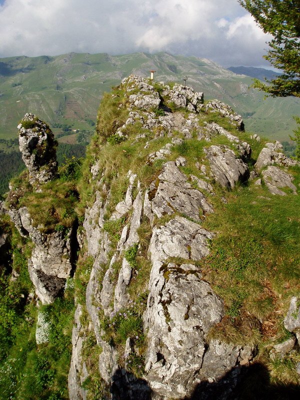 Tontorra