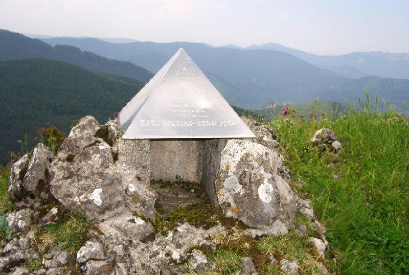 Buzoia