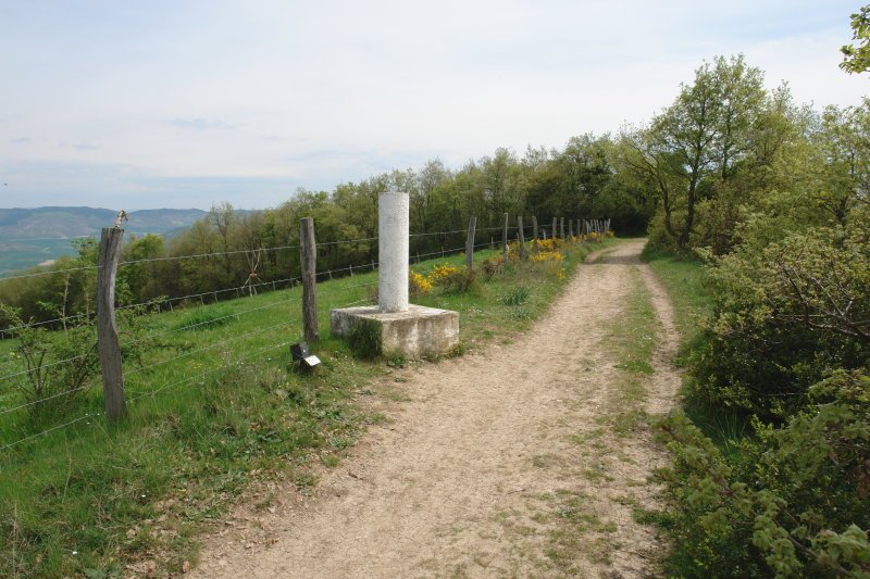 Erpin geodesikoa