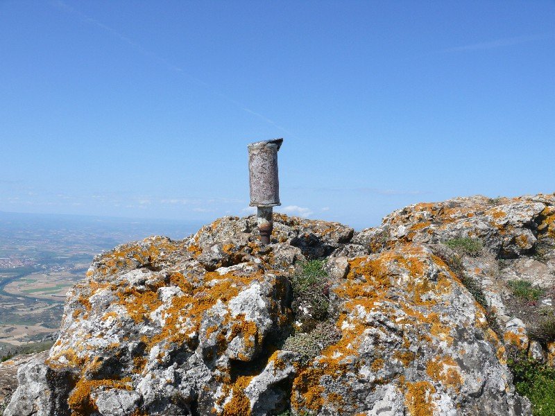Buzoia