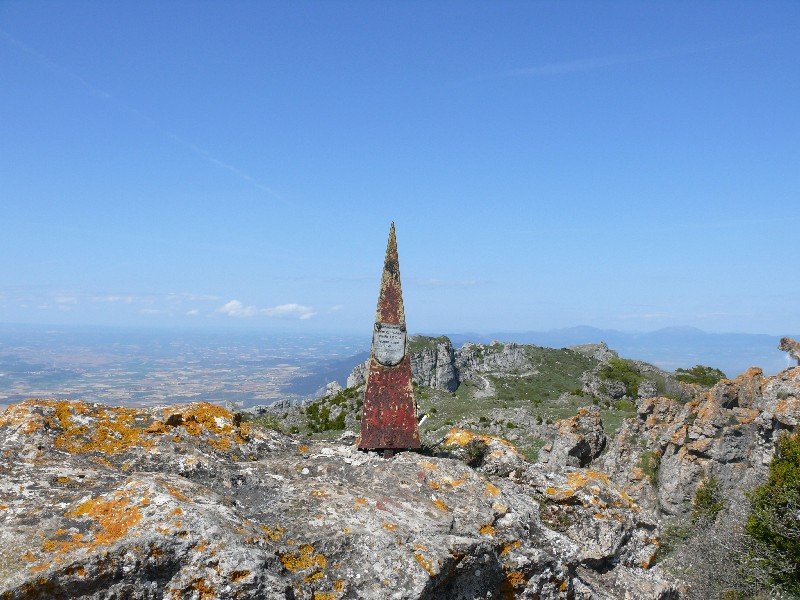 Buzoia