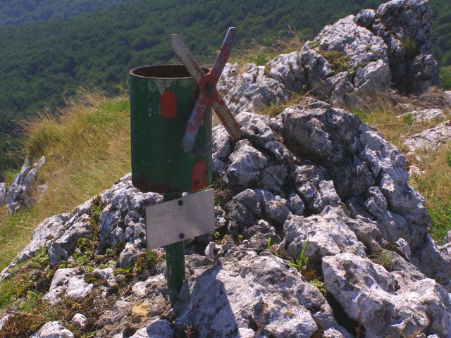 Naparaitzeko buzoia