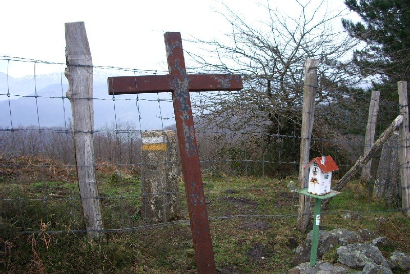 Tontorra