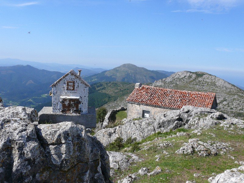 Buzoia