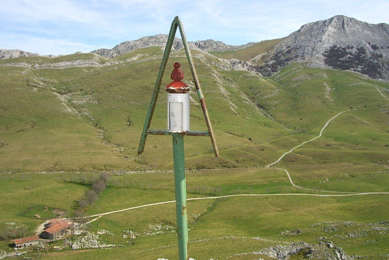 Buzoia