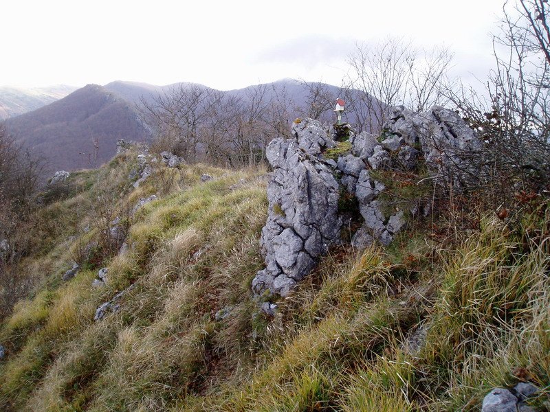 Tontorra