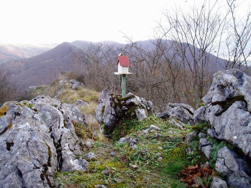 Tontorra