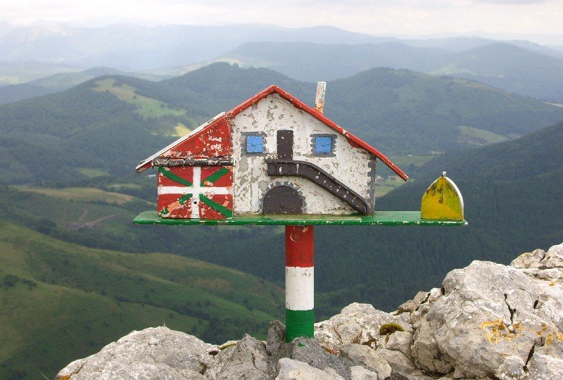Buzoia