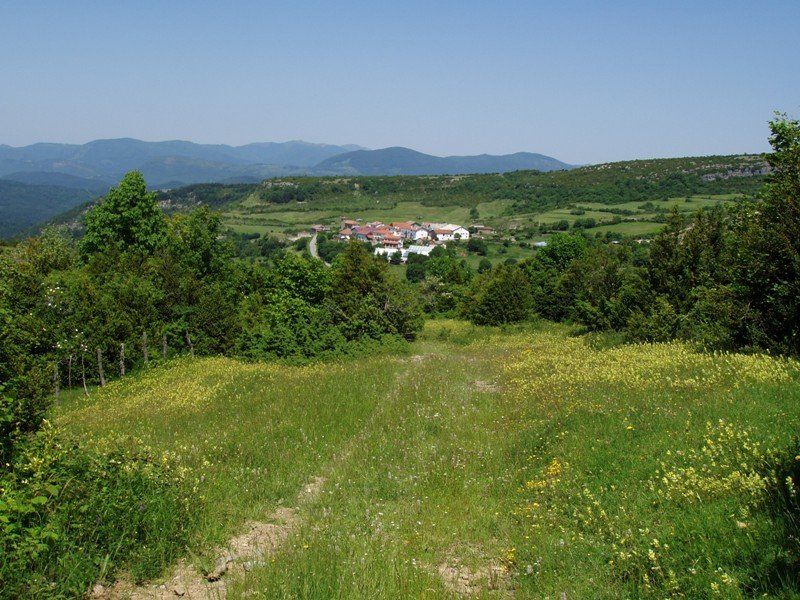 Aintzioa, bidetik