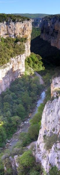 Arbaiun arroila