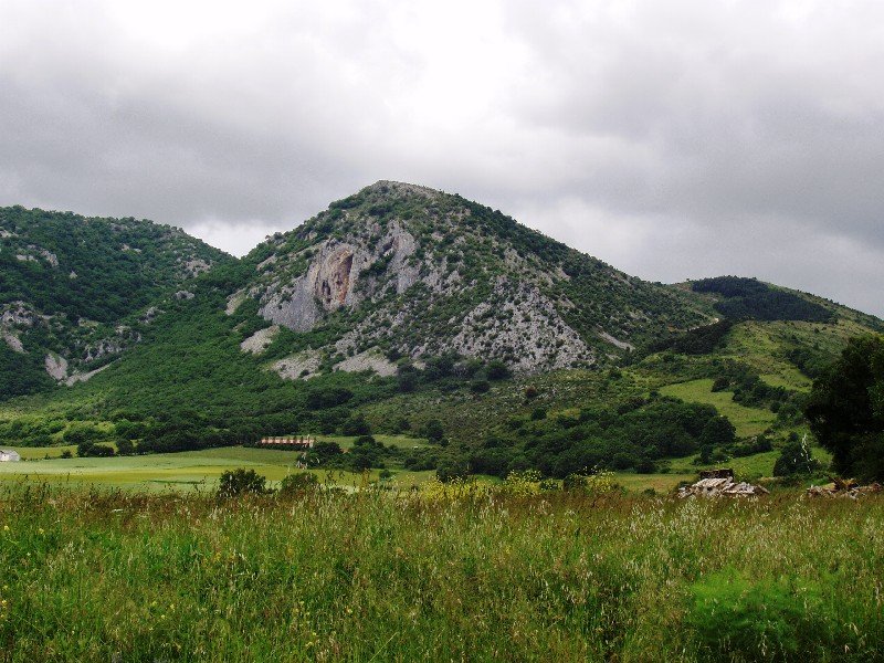 Txargain Ollarandik