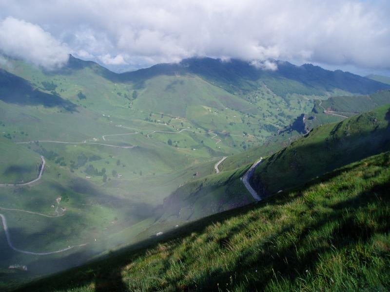 Riomiera bailara