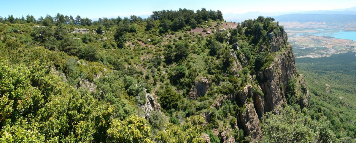 Ekialdeko malkarrak
