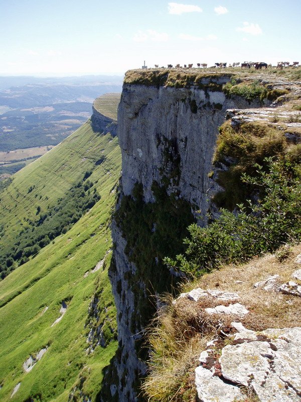 Ekialdeko tontorra