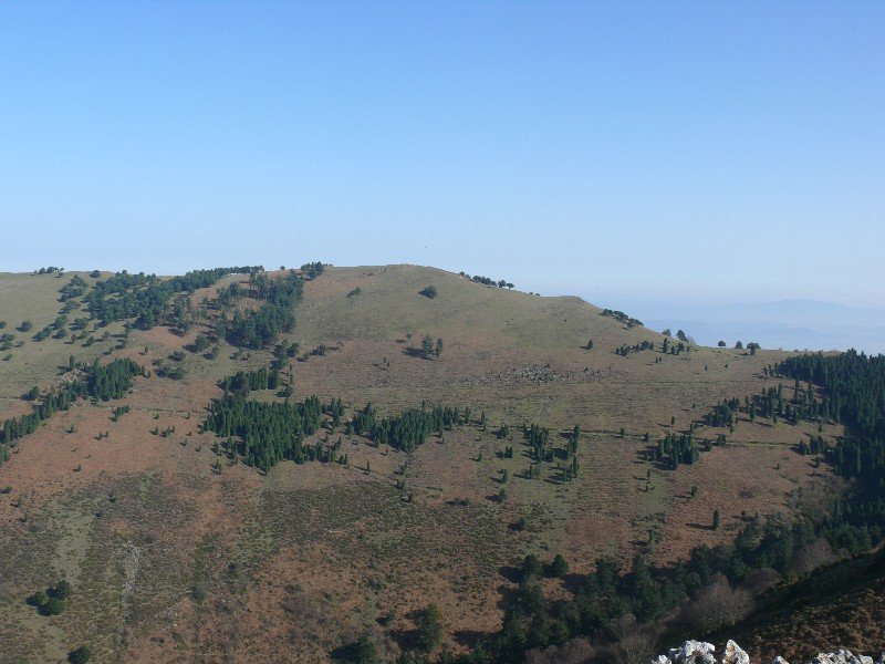 Ganeran