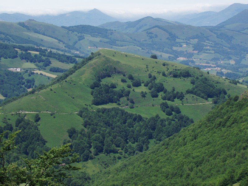 Iturrunburutik