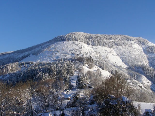 Tontorra