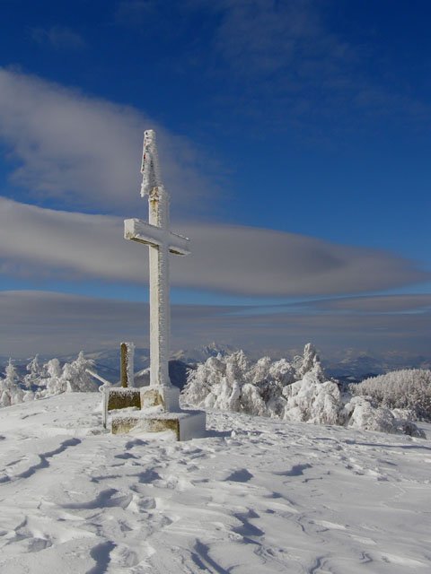 Gailurra