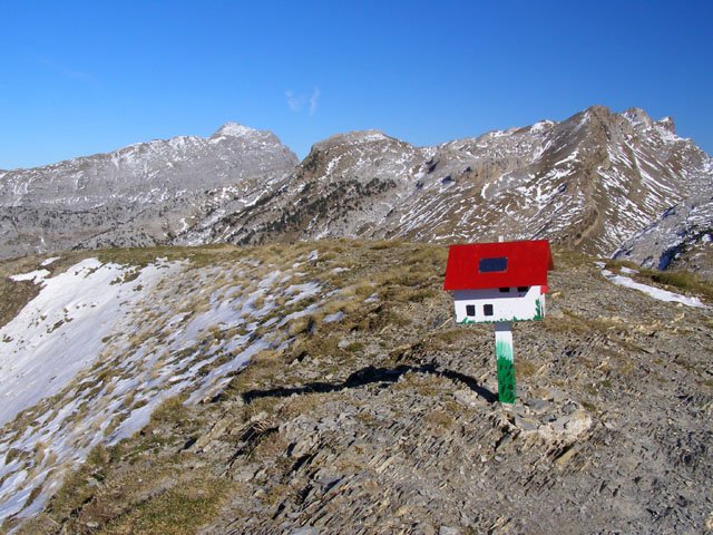 Gailurra