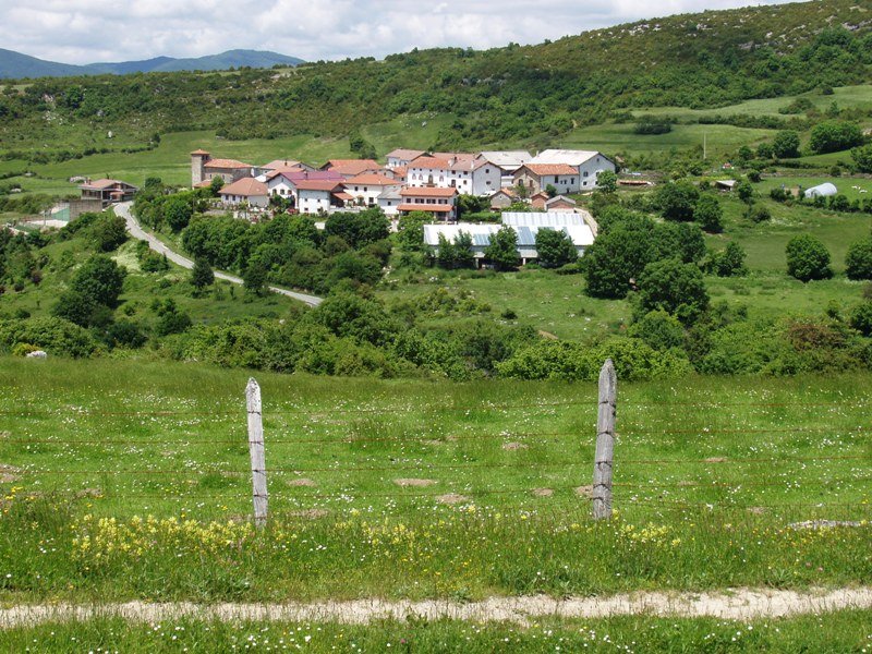 Aintzioa