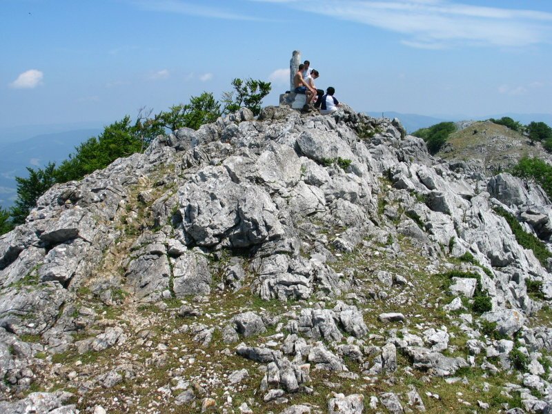 Tontorra