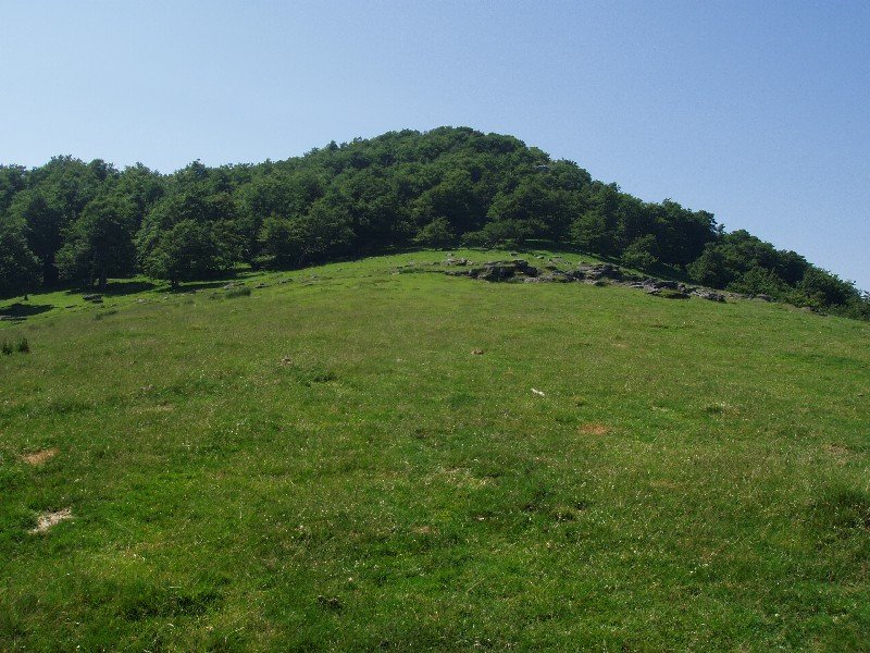 Gailurra