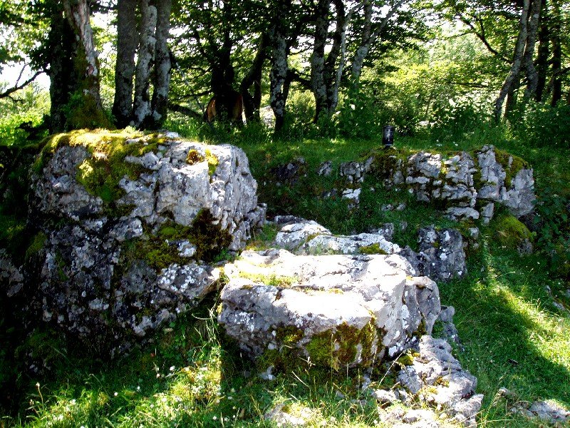Gailurra
