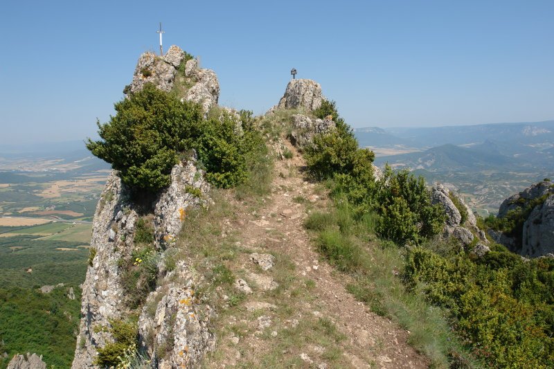 Buzoidun tontorra
