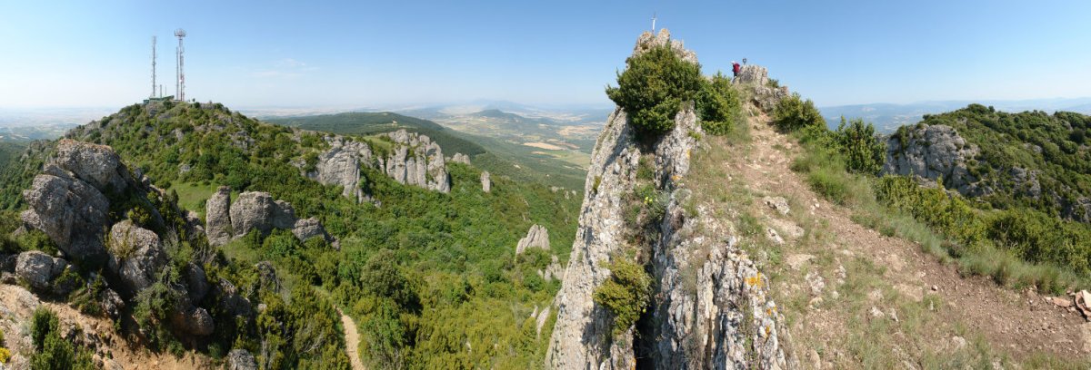 Bi tontorrak